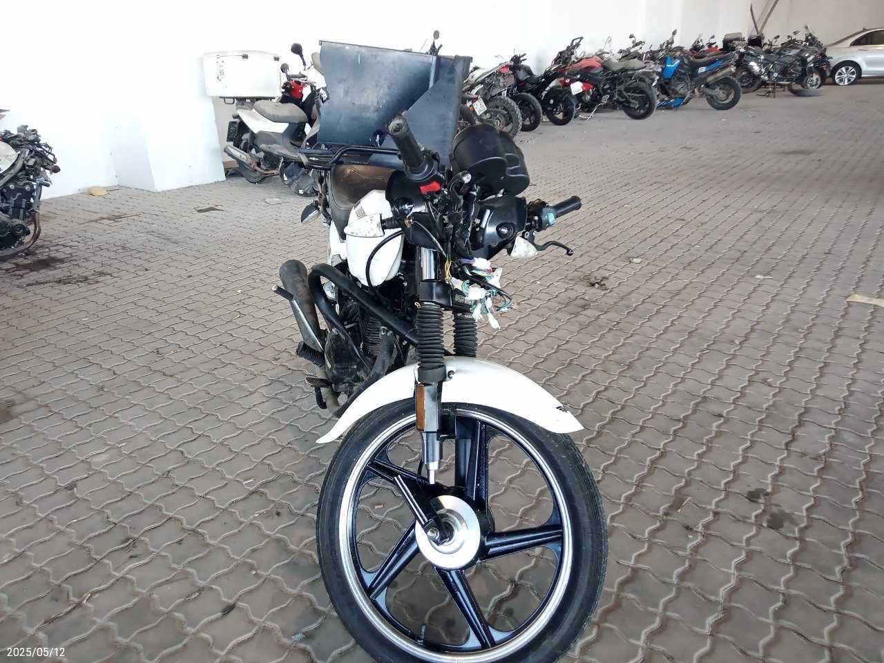 BIG BOY 150